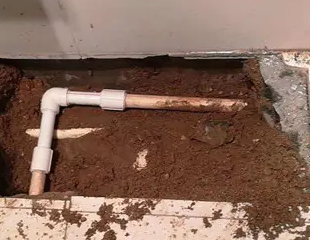 十堰市测漏水哪家好