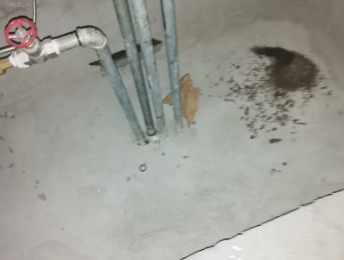 十堰市卫生间测漏水价格明细